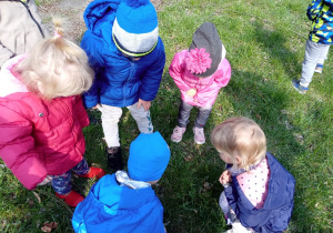 Dzieci prowadza obserwacje przyrodnicze